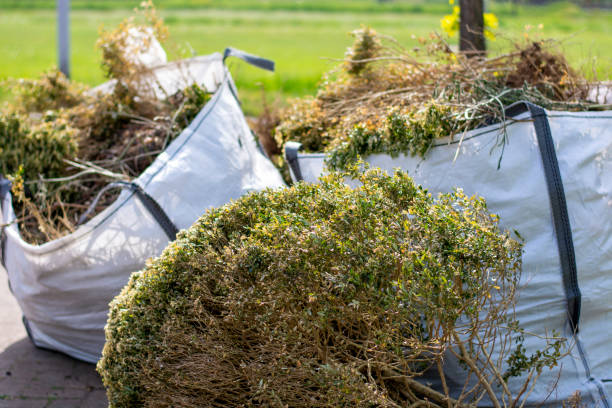 Best Trash Removal Near Me  in Morehead City, NC