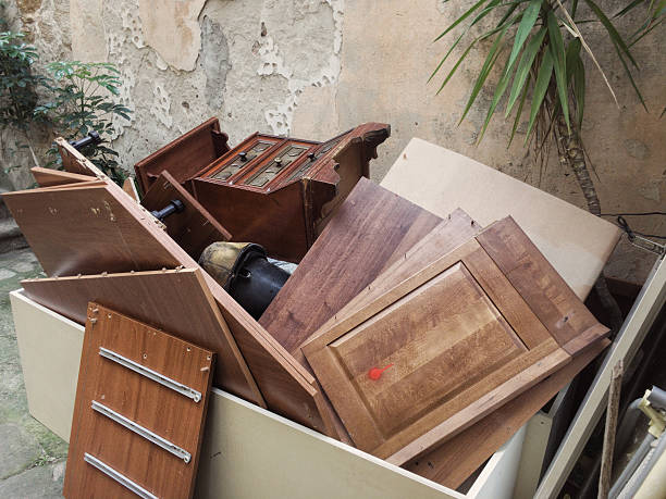 Best Yard Cleanup Services  in Morehead City, NC